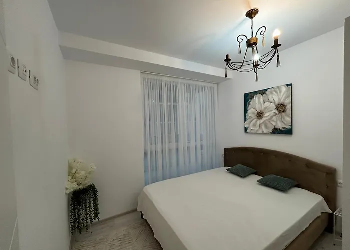 Daire Floreasca Bükreş